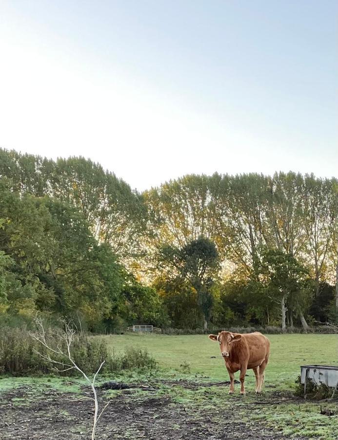 Little Moat - Moat Farm Barns A Small Modern Studio In The Garden On Our Family Farm Villa Evesham Buitenkant foto